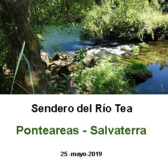 sendero del Tea