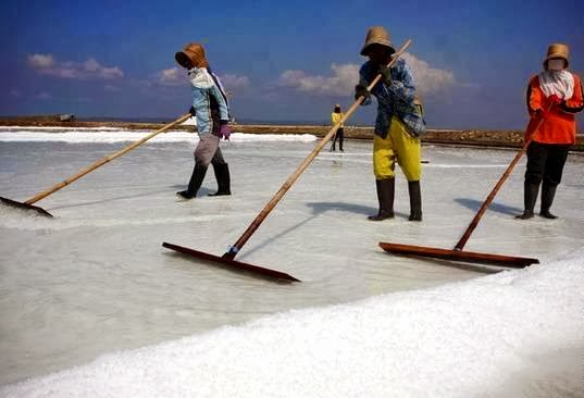 Tempat Wisata Di Pulau Madura