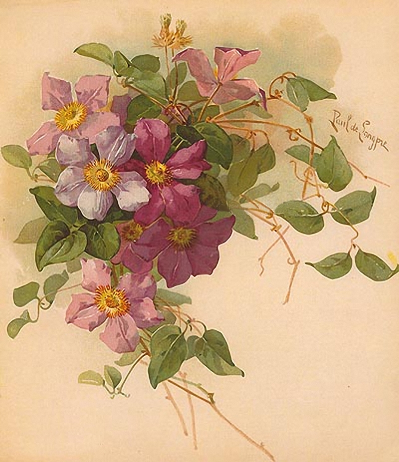 Paul de Longpre 1855-1911 - French-born American painter - Tutt'Art@ Paul de Longpre 1855-1911 - French-born American painter - Tutt'Art@