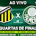 Jogo Novorizontino x Palmeiras Ao Vivo 23/03/2019