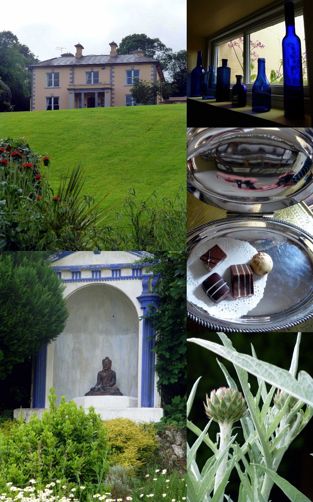 Mustard Seed. An oasis in Limerick.