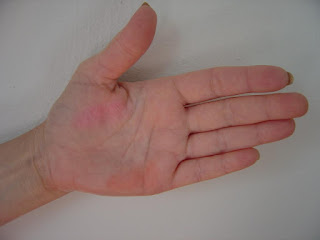 Review + Swatches: Pur Minerals Chateau Cheek Blush Tint and Brush Duo Stains (Rose, Peach Bellini) Pur Minerals Chateau Cheek Stain swatches.jpeg