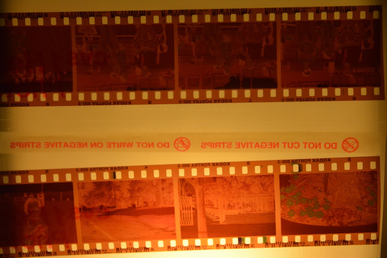 Film Photography Channel My Film Photography Workflow