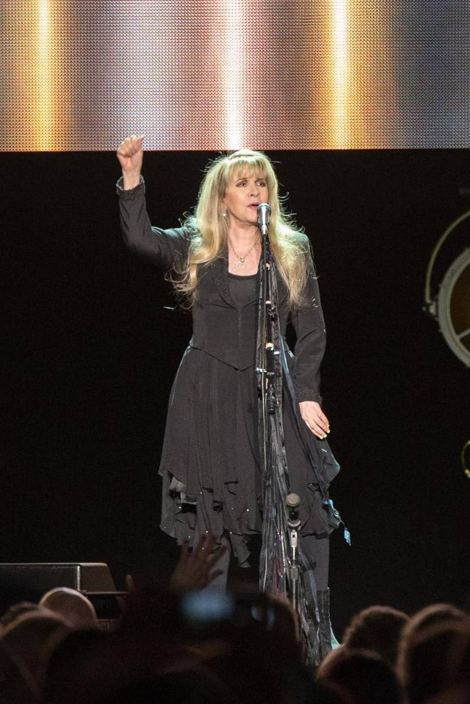 Fleetwood Mac News Review Stevie Nicks Live in Charlotte November 10