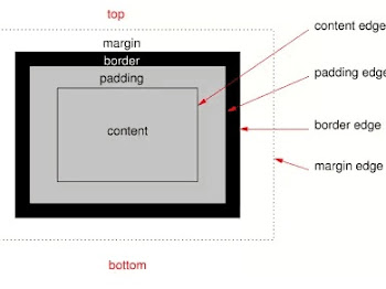 Pengertian CSS Box Model