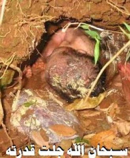 .: Gambar Bayi Keluar Dari Tanah