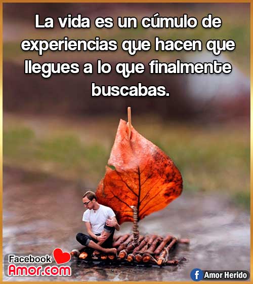 frases de la vida experiencias frases de la vida experiencias