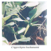 Therapeutic Uses of Cryptolepis Buchanani,"Krishna Sariva","Karanta","Indian Sarsaparilla" Herbal Medicinal Plant,Herbal Medicos