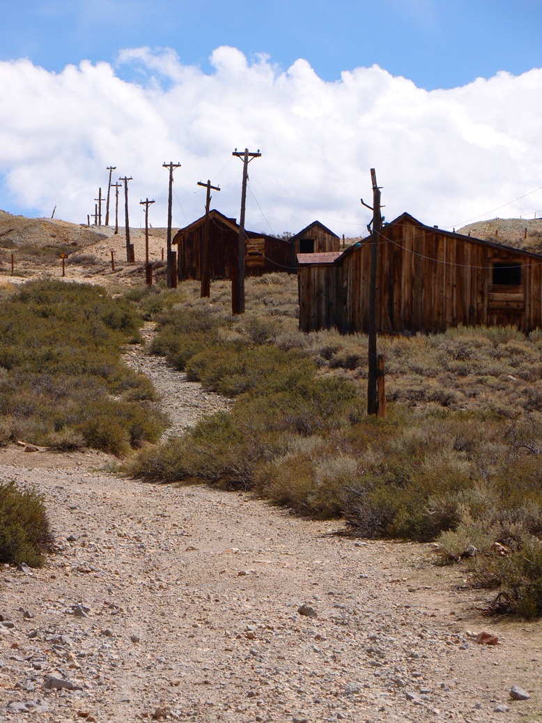 Geotripper Just Published! Geological Excursions in the Sonora Pass