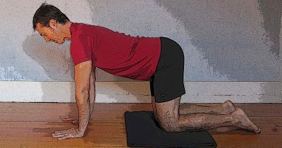 gripitz yoga and exercise blocks