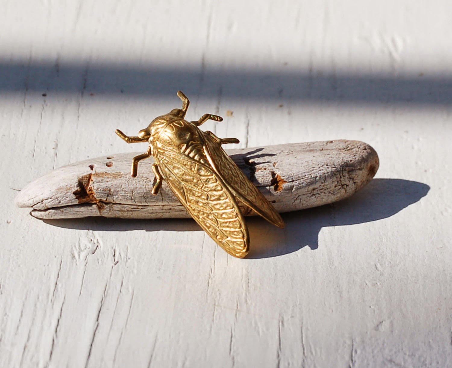 https://www.etsy.com/listing/165611302/cicada-brooch-insect-pin-golden-brass?ref=shop_home_active_3&ga_search_query=beetle