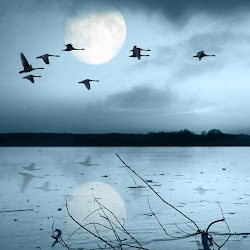 Aquila ka Hecate: Under A Liminal Moon