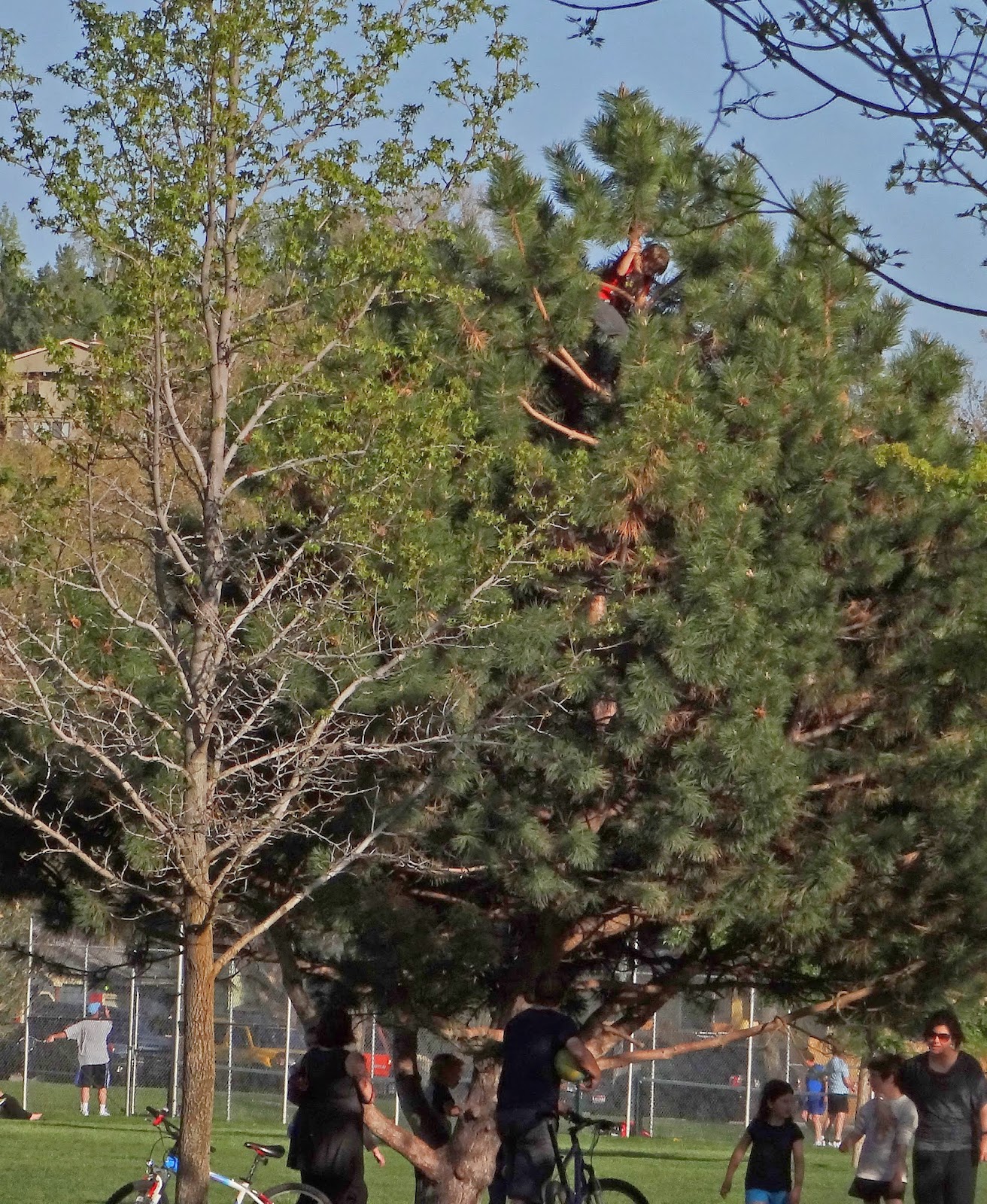 Boise Daily Photo It's a Kid Thing