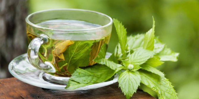 Tak Terduga, Ini Manfaat Mengonsumsi Matcha dan Teh Hijau Tak Terduga, Ini Manfaat Mengonsumsi Matcha dan Teh Hijau