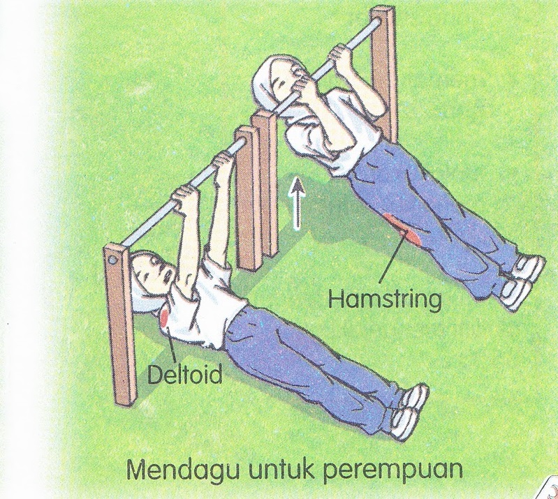 Nur Jannah Najihah Saleem: Bab 1.3 : Kekuatan Otot