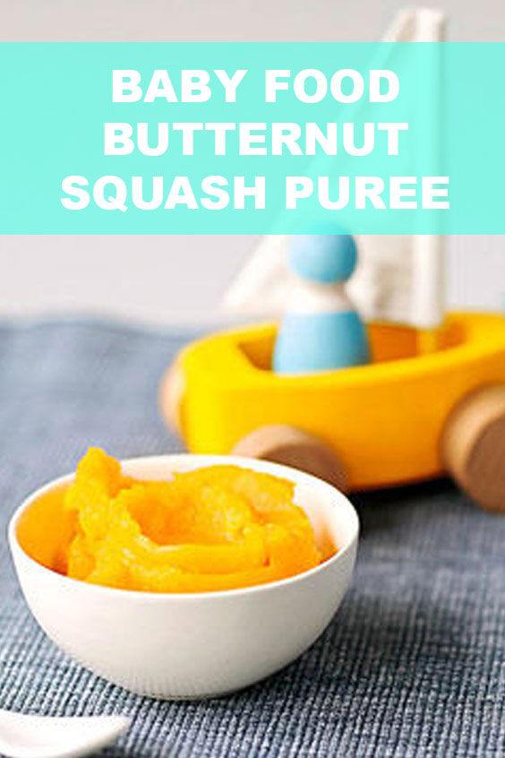 Baby Food Butternut Squash Puree Idnewstimes
