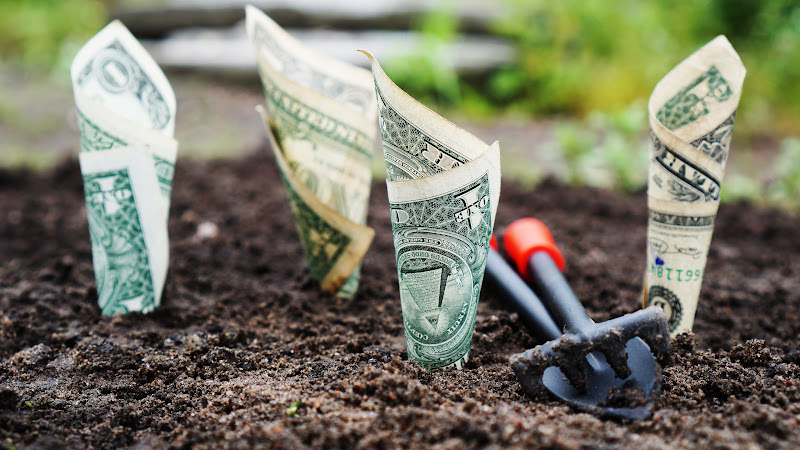 Creative Money