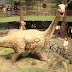 India's First Dinosaur Museum-Cum- Park in Gujarat