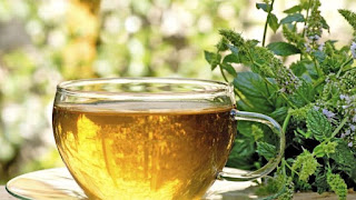 5 kiváló gyógynövény, ami segít az allergia kezelésében 5 kiváló gyógynövény, ami segít az allergia kezelésében