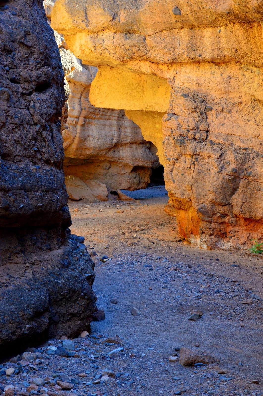A Local Wander Hiking White Owl Canyon