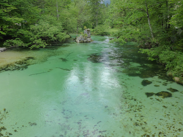 Lac Bohinj Slovénie