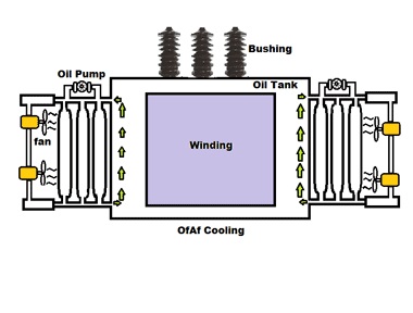 purpose of oil in transformer