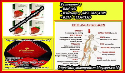 produk kecantik dari bahan kolagen, Manfaat Dasar Kolagen Untuk Perawatan Kecantikan