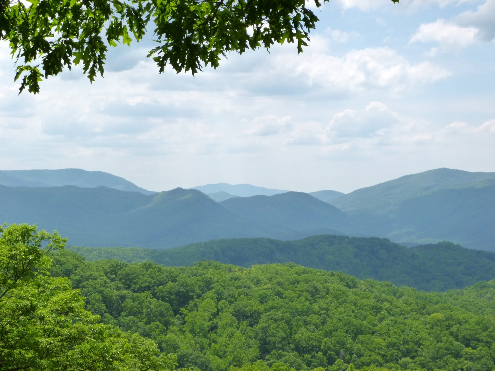 American Travel Journal Roaring Fork Motor Nature Trail Great Smoky Mountains National Park