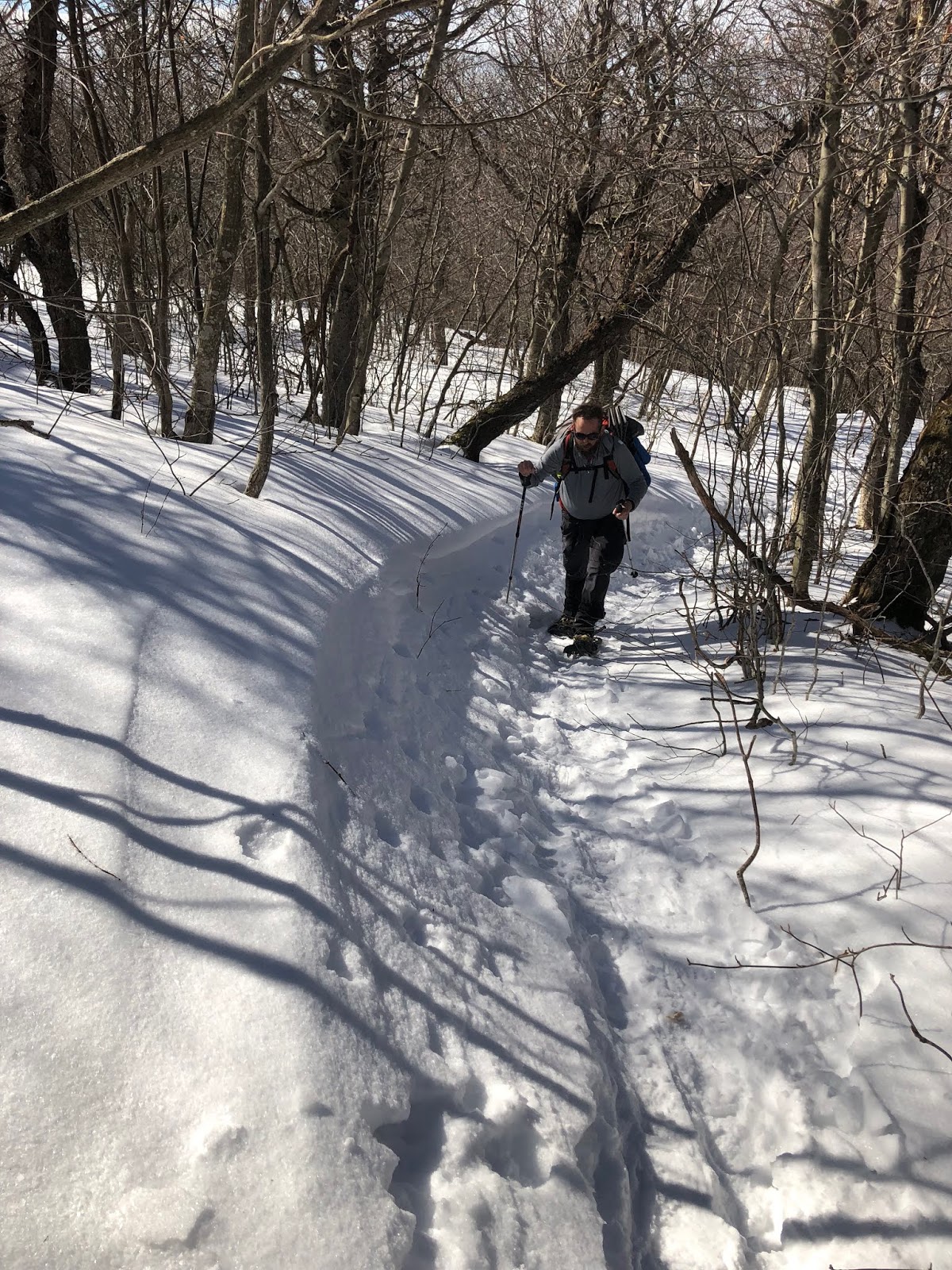 Hiking Graham and Doubletop Mountains Snowshoeing Bushwhack, Catskill