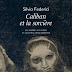 <i>Caliban et la sorcière</i> (Silvia Federici), ou l'Histoire au bûcher - 2/2