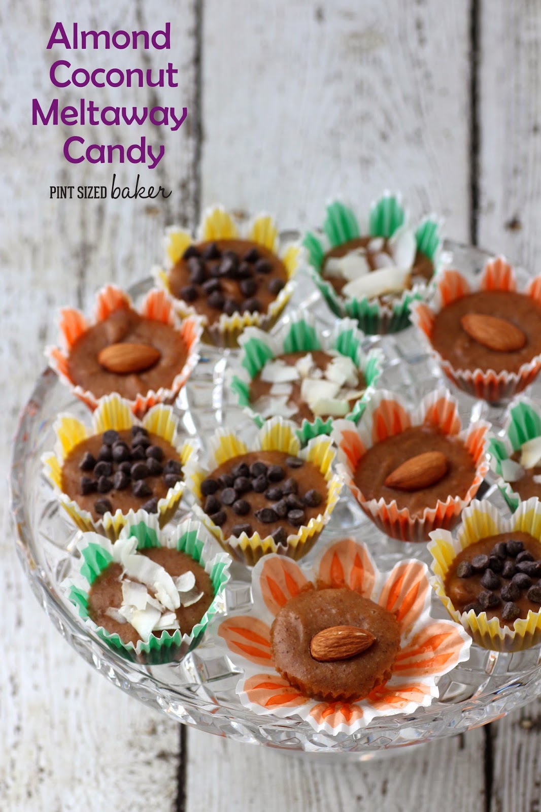 Almond Coconut Meltaway Candy 1 1+ps+Almond+Coconut+Melts+(11)