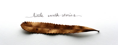 little earth stories