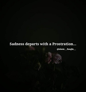 La tristesse part d'une prosternation. La tristesse part d'une prosternation.