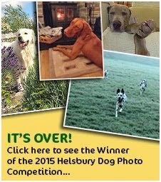 Helsbury Dog Photo Competition 2015
