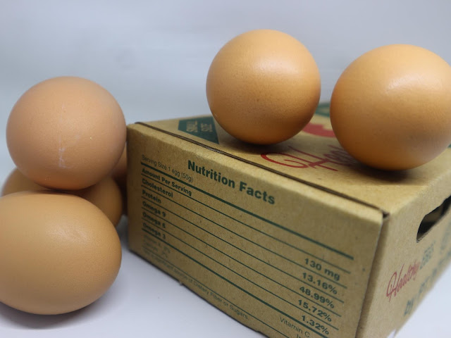 telur ayam yang sehat bebas alergi