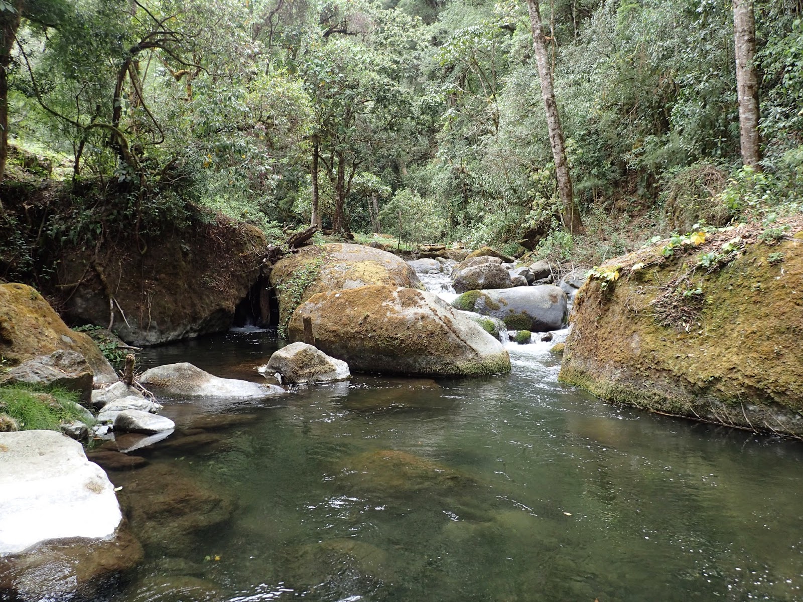 First Cast Fly Fishing Costa Rica DIY Trout Fly Fishing
