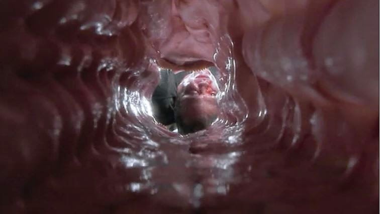 Internal View Of Anal Sex Cumception