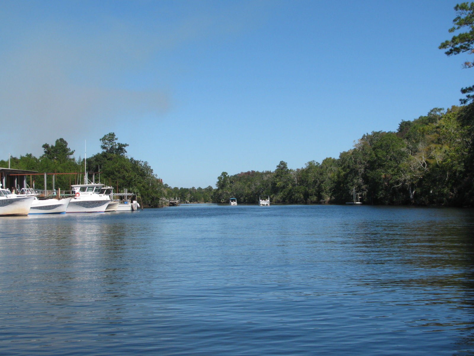 Light In The West St Marks River