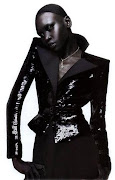 Alek Wek or changing the standards of beauty