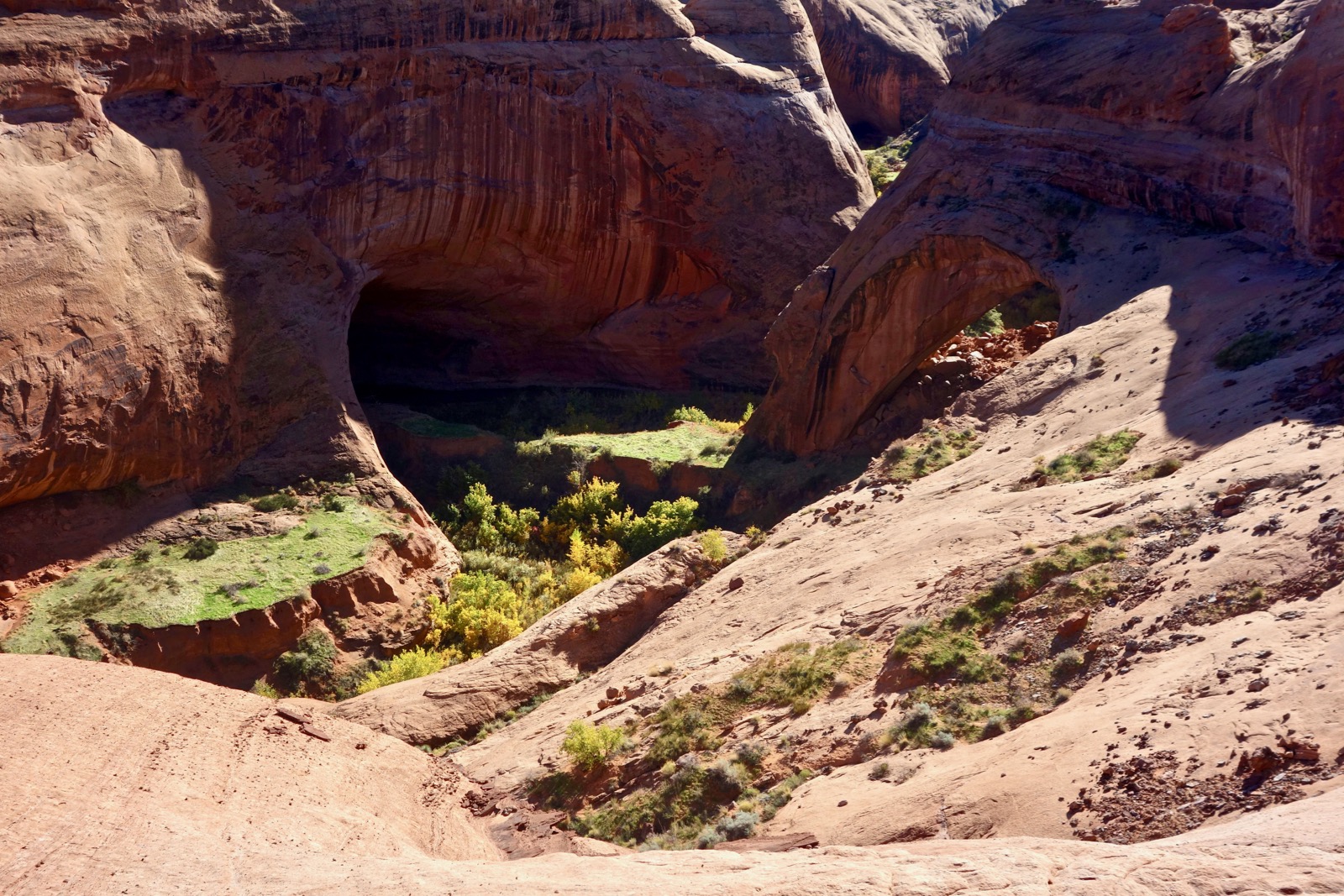 Earthline The American West Davis Gulch Glen Canyon National