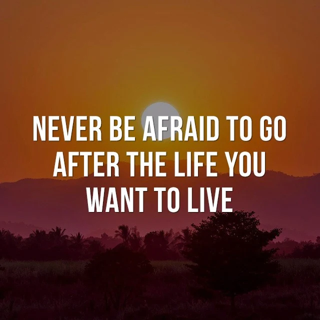 Never be afraid to go after the life you want to live. - Positive Quotes