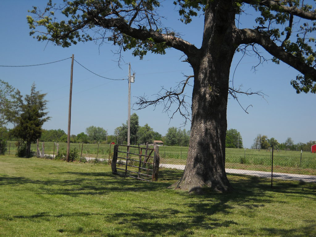 Missouri Real Estate House, Barn and 5 Acres