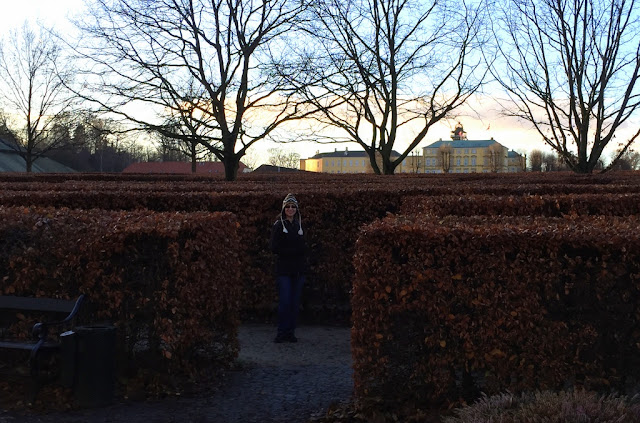 Copenhagen in November