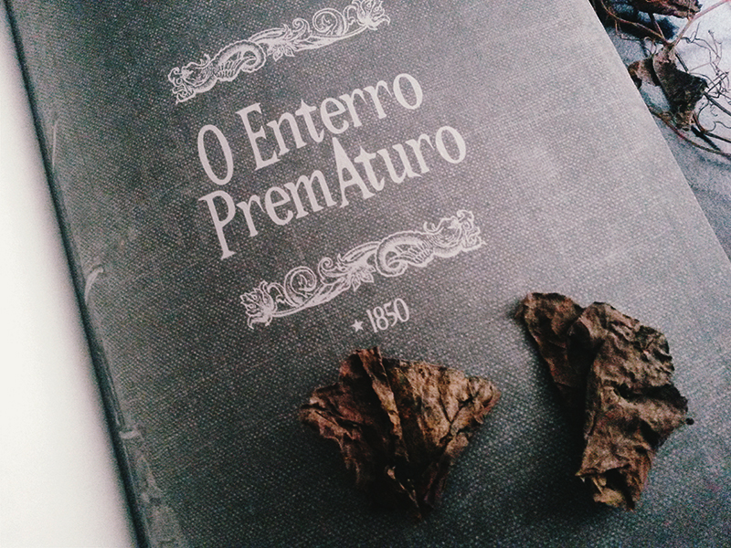 anna costa 12mesesdepoe edgar allan poe o enterro prematuro resenha