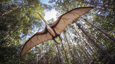 Стотици динозавърски яйца намерени в Китай Pterosaur-2735500_640