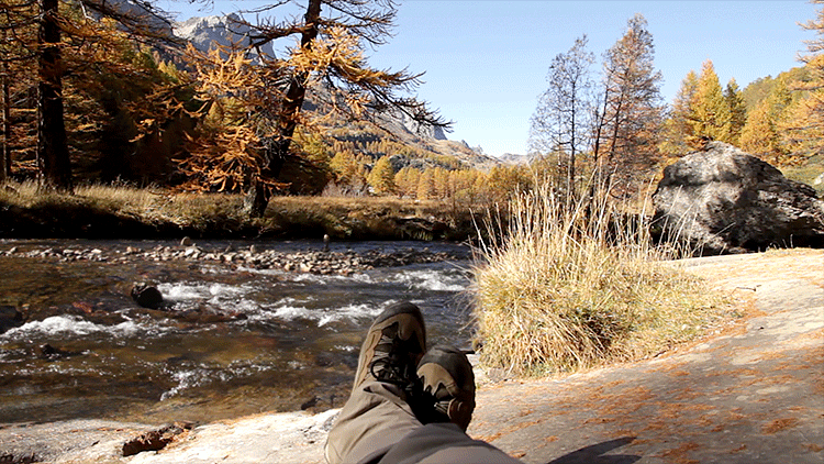 La%2BClar%25C3%25A9e.%2BThe%2BAmazing%2B