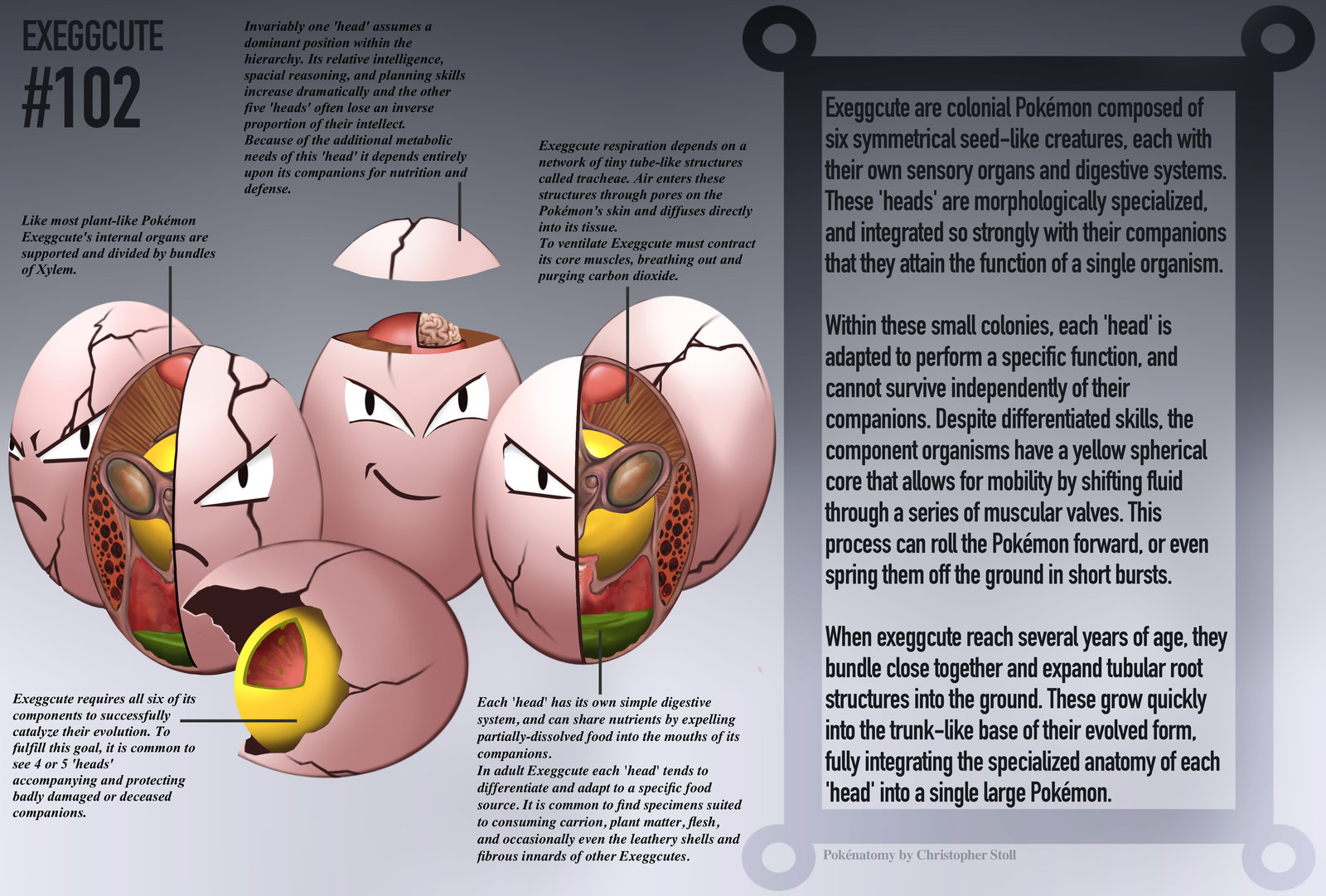 Así es 'PokéNatomy': la enciclopedia que descubre la anatomía de los pokémon, Actualidad