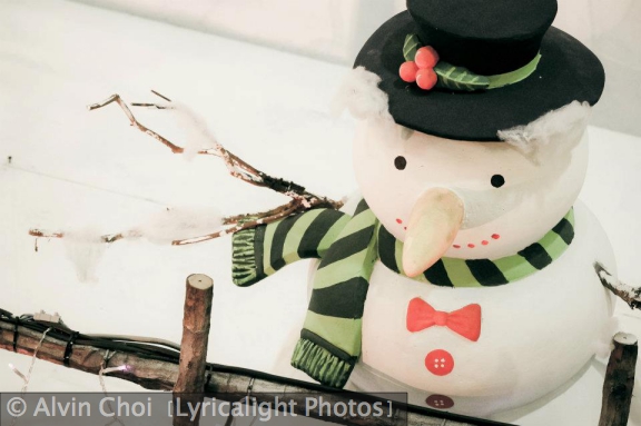 Alvin Choi (Lyricalight Photos) Christmas