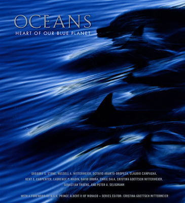 RTSea Blog: observations on oceans, sharks and nature: December 2011