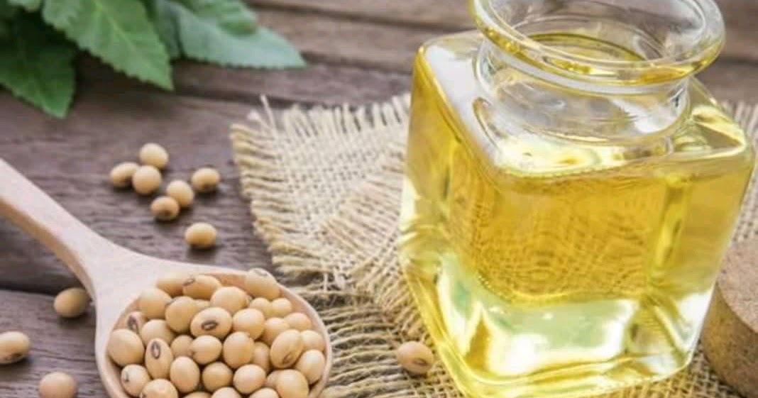 How healthy is modified soybean oil?